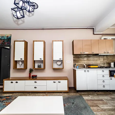 公寓 Roberto Deluxe Astoria 那沃达利